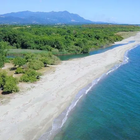Superbe T2 Sognu Di Mare شقة
